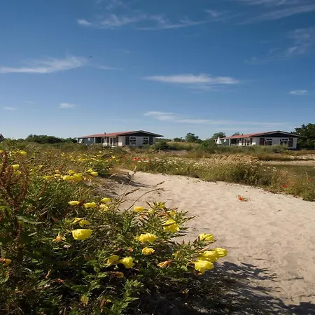 Texel With Garden & Pool *