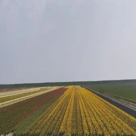 Prázdninový dům Texel With Garden & Pool De Cocksdorp (Texel)