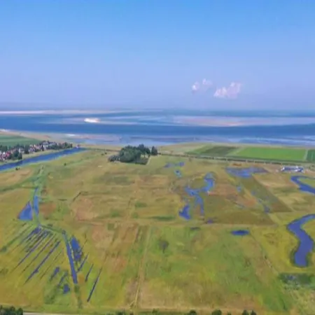 Prázdninový dům Texel With Garden & Pool *