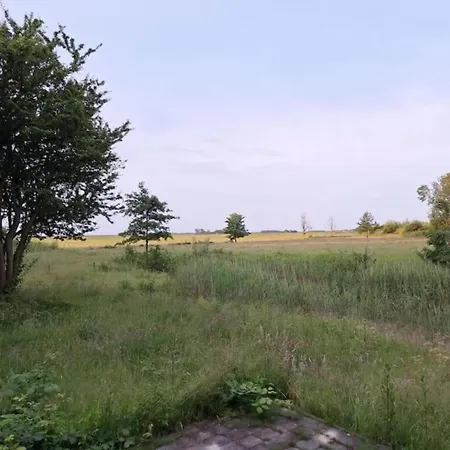 Prázdninový dům Texel With Garden & Pool De Cocksdorp (Texel)