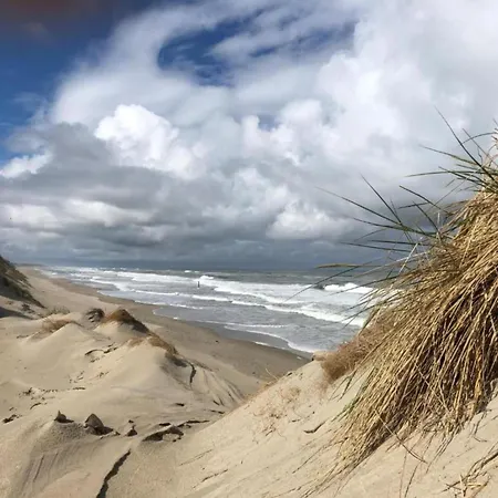 Texel With Garden & Pool