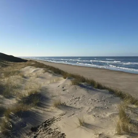 Texel With Garden & Pool Prázdninový dům